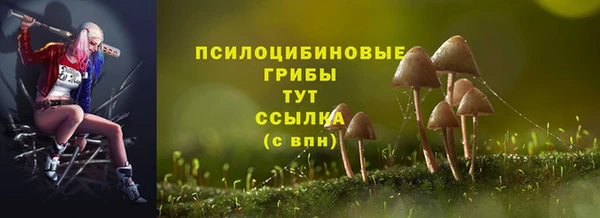 jwh Баксан