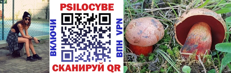 Псилоцибиновые грибы Psilocybine cubensis  Бежецк 